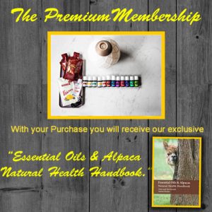 Essential oils Premium starter kit | Uses and benefits of oils on animals